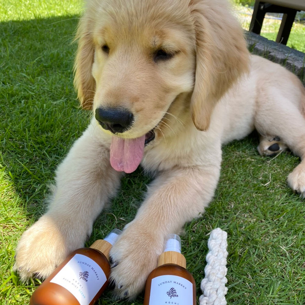 Room Mist - ルームミスト